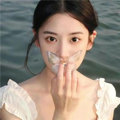 静静的白桦林